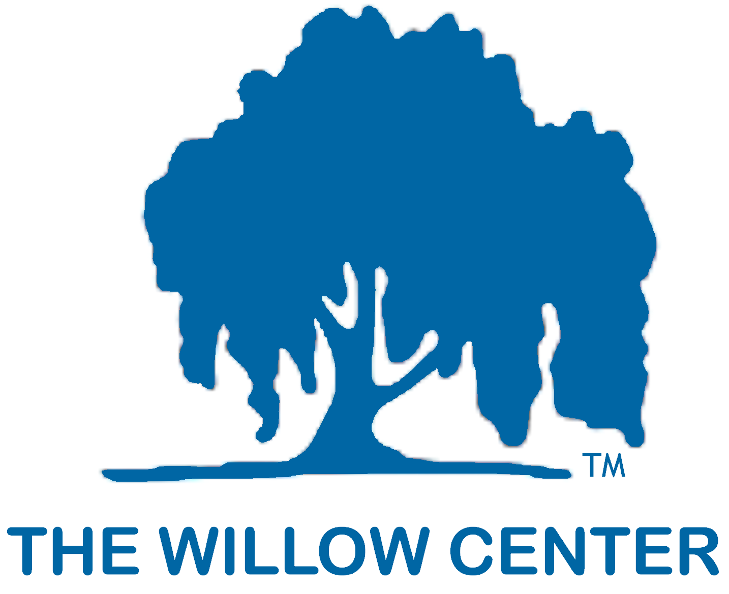 The Willow Center